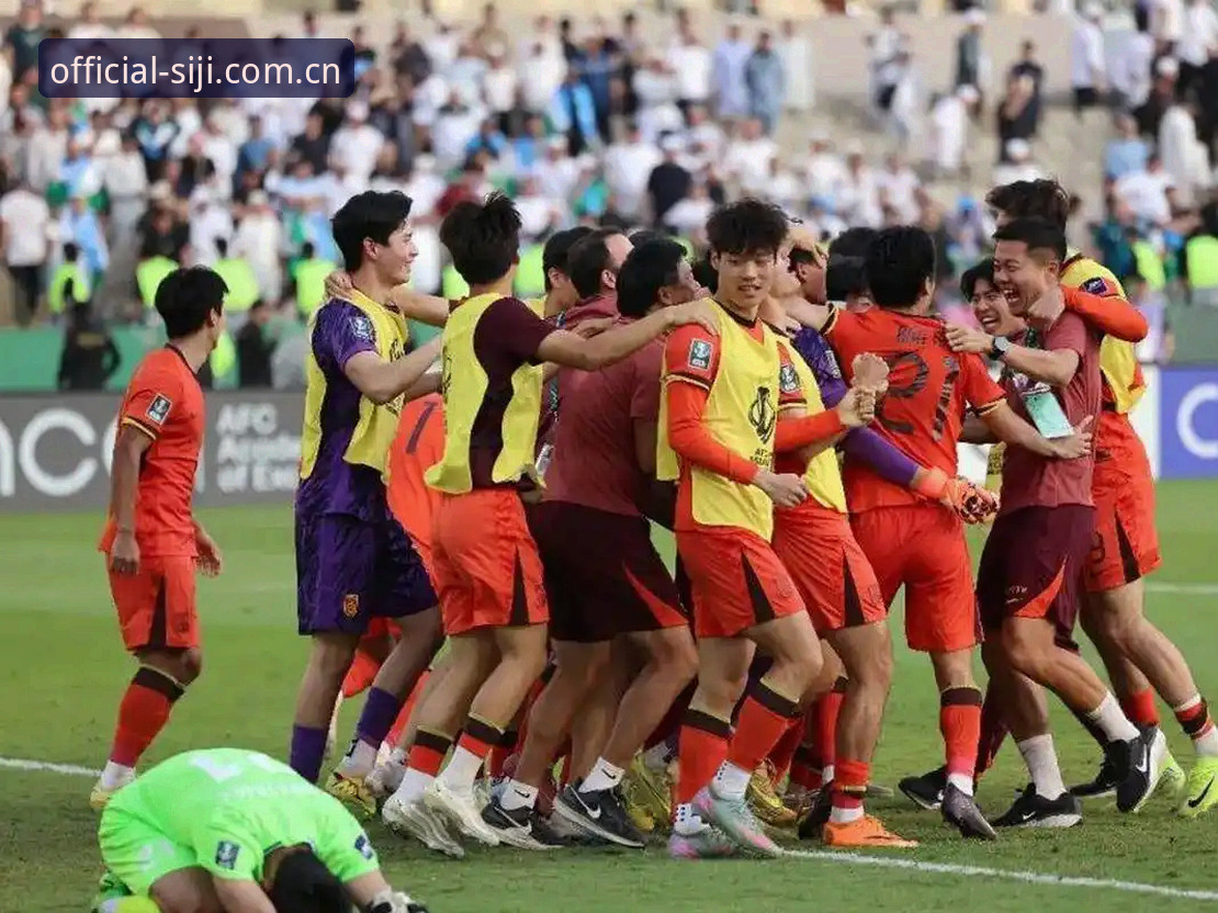 四季网新手教程 世界杯64队vs48队:未来足球盛宴的包容性与中国机遇的全面对比